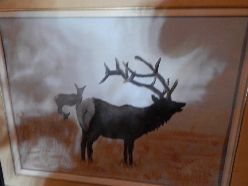 Idle Spurs Log Cabin Bed & Breakfast Black Diamond 외부 사진